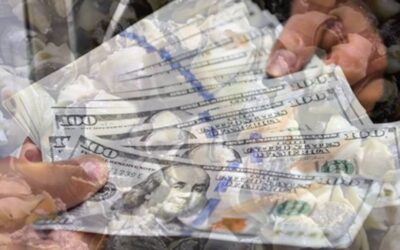 Sadece 9 ayda 10,7 milyon dolar kazandırdı: Bu mesleğe yönelen kazandı, talep giderek artıyor