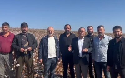 CHP'li Tanrıkulu: Destek verilmezse pamuk üretimi sıfıra düşecek