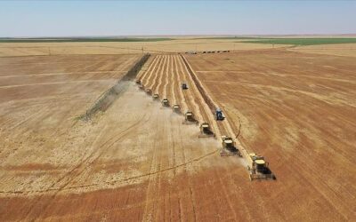 FAO ve Türkiye’den tarımda izleme kapasitesini güçlendirecek yeni proje