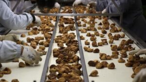 Türkiye’den dünyaya ihracat çıkışı! 97 ülke alıyor, 369 milyon 759 bin dolar kazandırdı