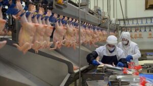 Rekabet Kurulu’ndan ünlü et markalarına 3,7 milyar TL ceza