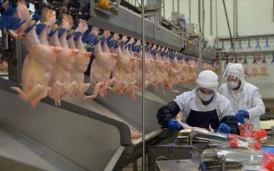 Rekabet Kurulu’ndan ünlü et markalarına 3,7 milyar TL ceza