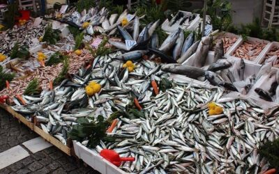 Hamsi ucuzladı: Mezgit, istavrit ve barbun da tezgahlarda yerini aldı