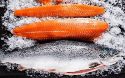 Doğu Karadeniz Türk somonu ihracatında rekor kırdı