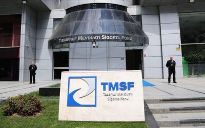 TMSF bir şirkete daha kayyum olarak atandı