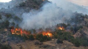 Yangına dirençli ormanlar geliyor: 20 bin hektarda YARDOP projesi başlıyor
