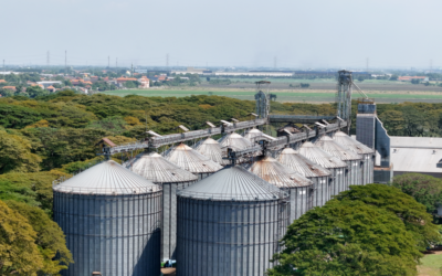 Türkiye'nin sanayi devi milyarlarca liralık borçla satılıyor