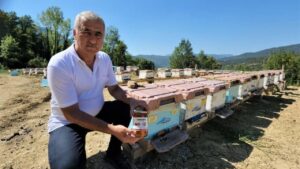 Yenice ıhlamur balı, AB’den coğrafi işaret alan 43’üncü Türk ürünü oldu