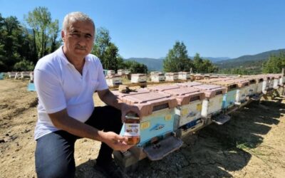 Yenice ıhlamur balı, AB’den coğrafi işaret alan 43’üncü Türk ürünü oldu