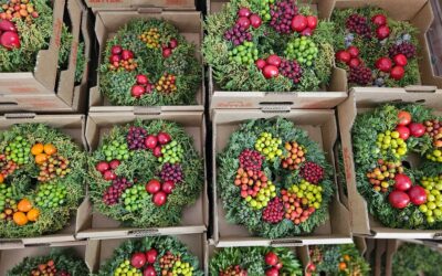 Türkiye'nin o köyünden kadınlar 20 yıldır Avrupa'nın geleneğine ışık tuttu