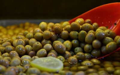 Marmarabirlik 2025-2026 zeytin alım fiyatlarını açıkladı